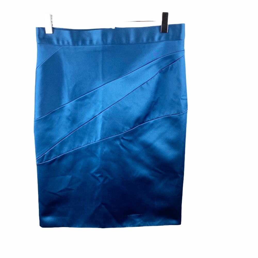 Zac Posen Blue Pencil Bandage Skirt 6